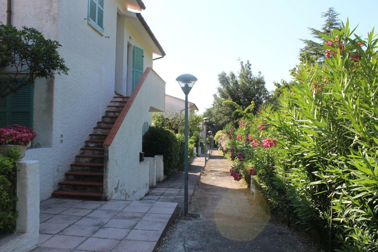 Bilo Frank - Delizioso Bilocale Con Terrazzo Vista Mare Apartment Numana Exterior photo